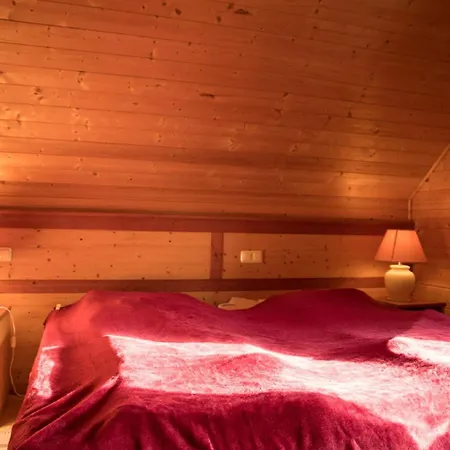 Holiday home Auerhahn-6 By Interhome Hasselfelde
